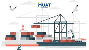 pengiriman port to door