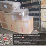 Container