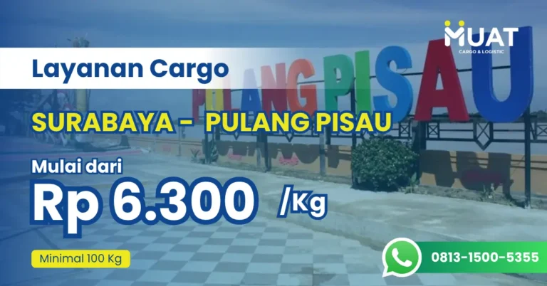 ekspedisi surabaya pulang pisau